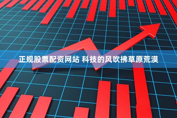 正规股票配资网站 科技的风吹拂草原荒漠