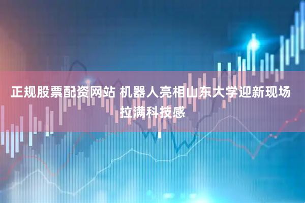 正规股票配资网站 机器人亮相山东大学迎新现场 拉满科技感