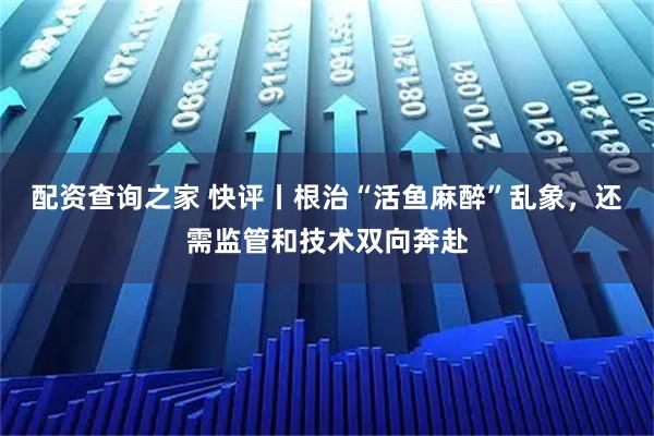 配资查询之家 快评丨根治“活鱼麻醉”乱象，还需监管和技术双向奔赴